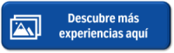 Galería vacunados